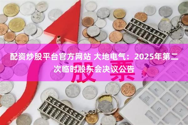 配资炒股平台官方网站 大地电气：2025年第二次临时股东会决议公告