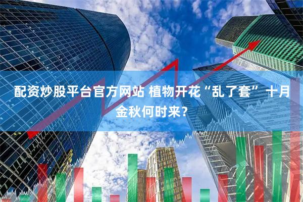 配资炒股平台官方网站 植物开花“乱了套” 十月金秋何时来?